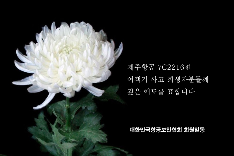 제주항공 참사 애도문 협회.jpg